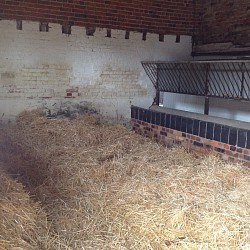 Bedded down for horses to go in and as they wish